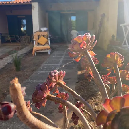 Holiday home Villetta Sole Ruju *